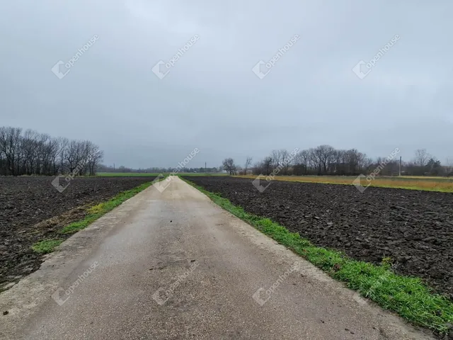 Kiadó kereskedelmi és ipari ingatlan Komárom, Szőny 600 nm