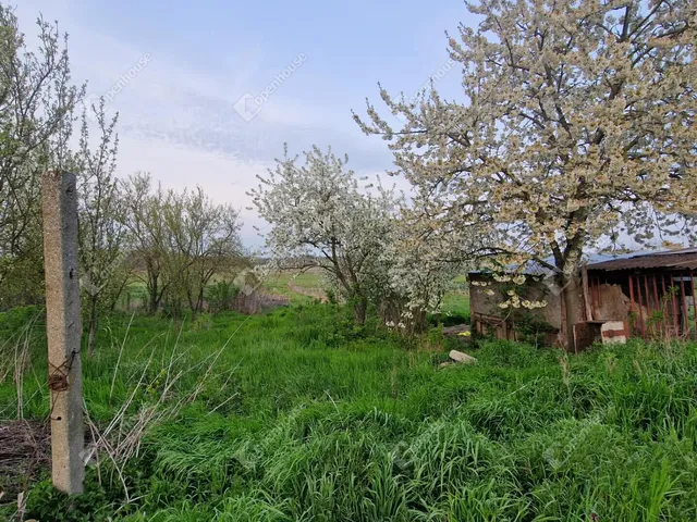 Eladó ház Csép 38 nm