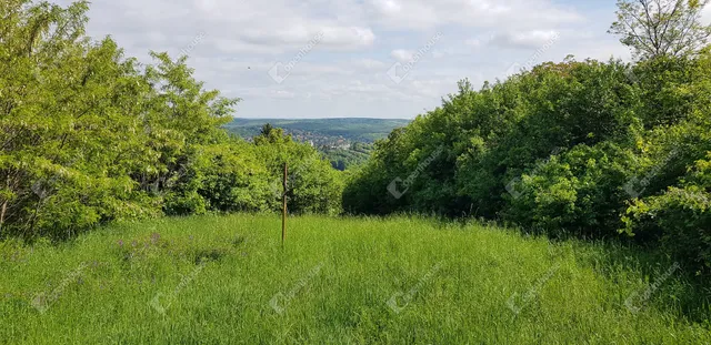 Eladó mezőgazdasági ingatlan Miskolc, Vargahegy 1440 nm