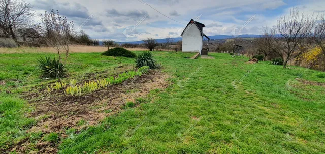 Eladó mezőgazdasági ingatlan Miskolc, Vologda 6170 nm