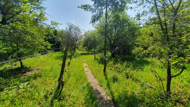 Eladó telek Miskolc, Magashegy 800 nm