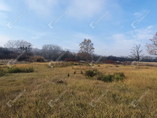 Eladó kereskedelmi és ipari ingatlan Sárospatak 31527 nm