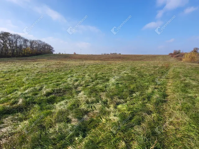 Eladó mezőgazdasági ingatlan Mezőkövesd 30637 nm