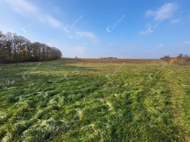 Eladó telek Mezőkövesd 30637 nm