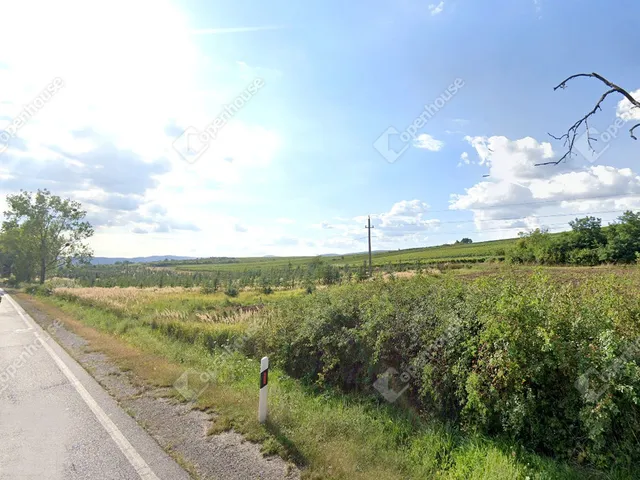 Eladó mezőgazdasági ingatlan Sárazsadány 70044 nm