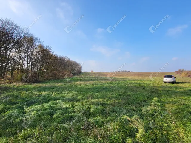Eladó mezőgazdasági ingatlan Mezőkövesd 30637 nm