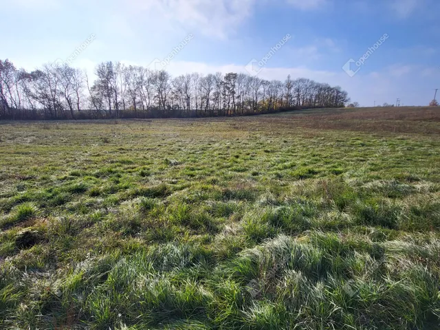 Eladó telek Mezőkövesd 30637 nm