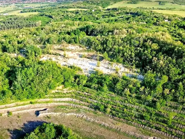 Eladó kereskedelmi és ipari ingatlan Mályi 45946 nm