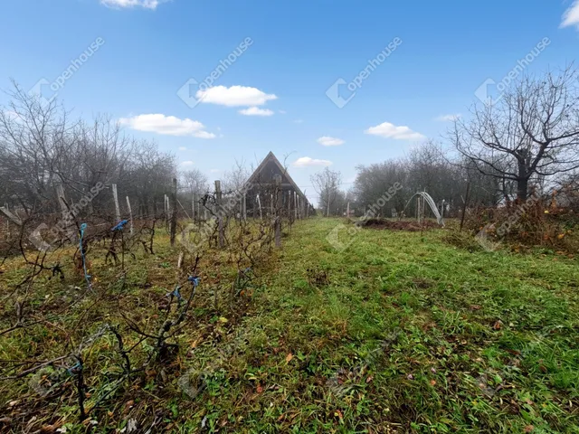 Eladó telek Mályi 6153 nm