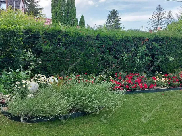 Eladó ház Mályi 30 nm