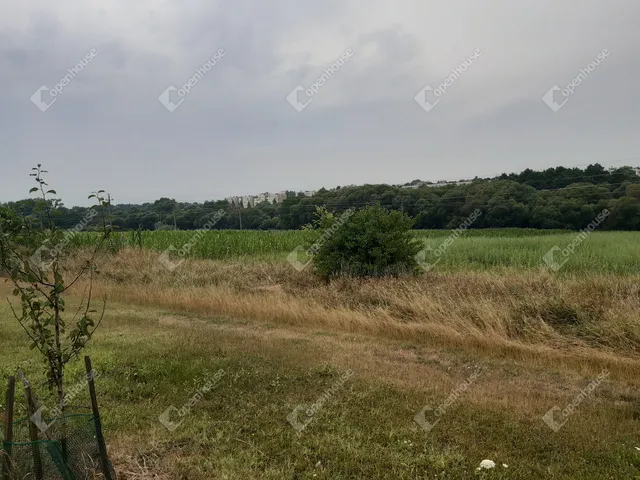 Eladó telek Nagykanizsa 945 nm