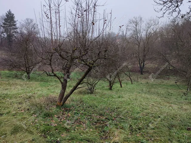 Eladó telek Pethőhenye 5319 nm