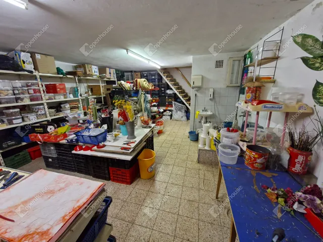 Eladó kereskedelmi és ipari ingatlan Nagykanizsa 153 nm