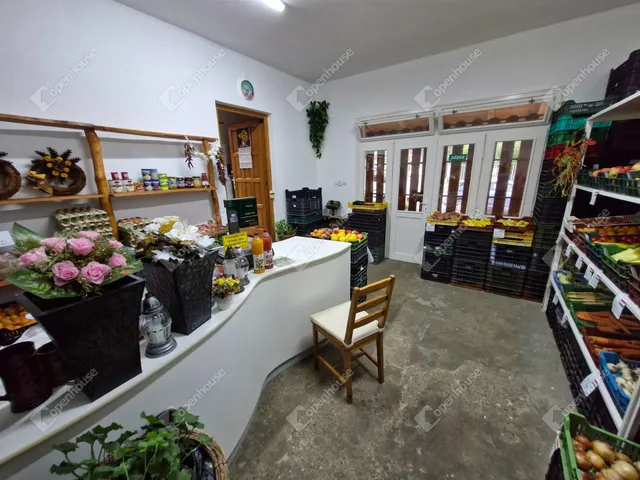 Eladó kereskedelmi és ipari ingatlan Nagykanizsa 153 nm