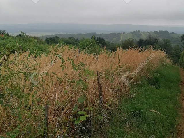 Eladó telek Lenti 807 nm