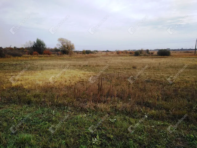 Eladó mezőgazdasági ingatlan Berhida 60000 nm