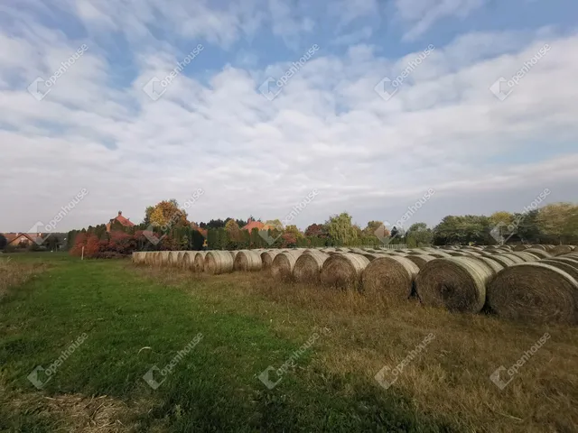 Eladó mezőgazdasági ingatlan Alsópáhok 1298 nm