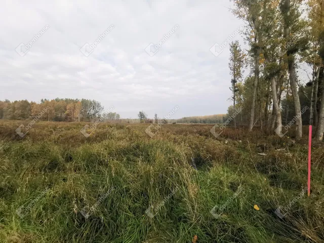 Eladó mezőgazdasági ingatlan Alsópáhok 4066 nm