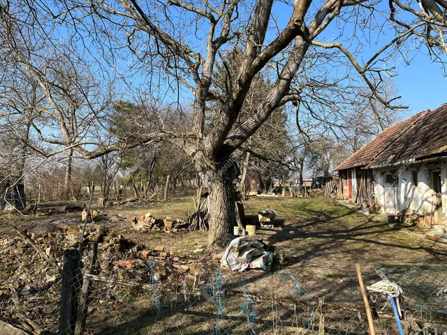 Eladó ház Orosztony 51 nm