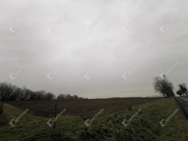 Eladó mezőgazdasági ingatlan Sármellék 1797 nm