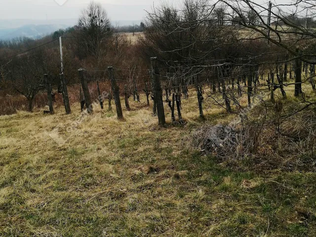 Eladó telek Nagykapornak 1736 nm