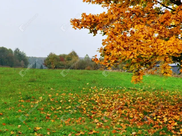 Eladó telek Kemestaródfa 1124 nm