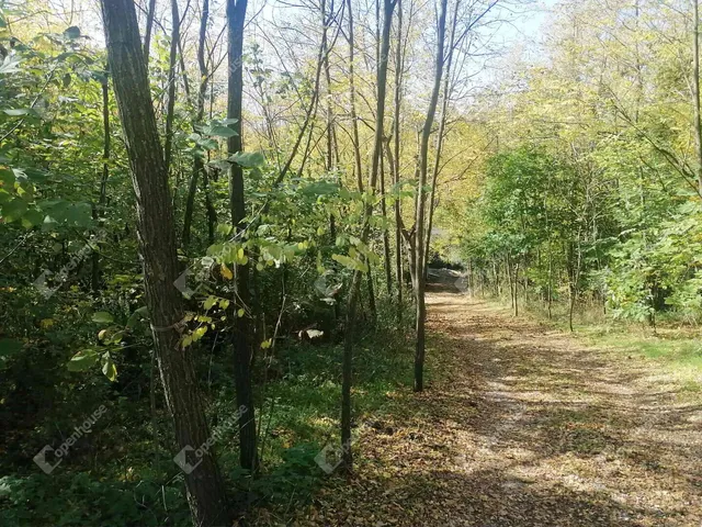 Eladó üdülő és hétvégi ház Zalaigrice 16 nm