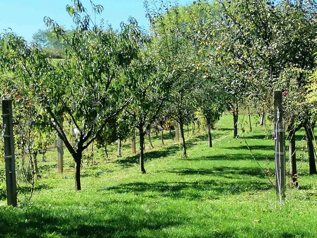 Eladó üdülő és hétvégi ház Pacsa 77 nm