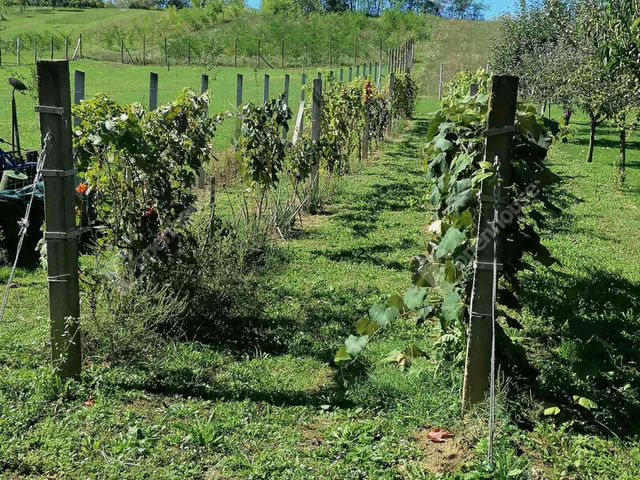 Eladó üdülő és hétvégi ház Pacsa 77 nm