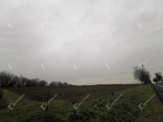 Eladó mezőgazdasági ingatlan Sármellék 1761 nm