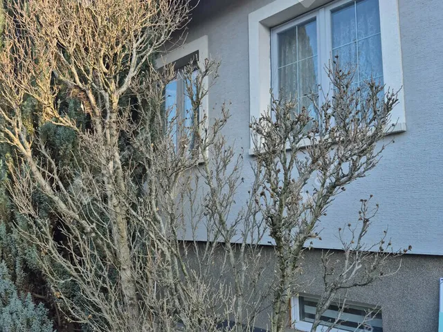 Kiadó ház Biatorbágy 45 nm