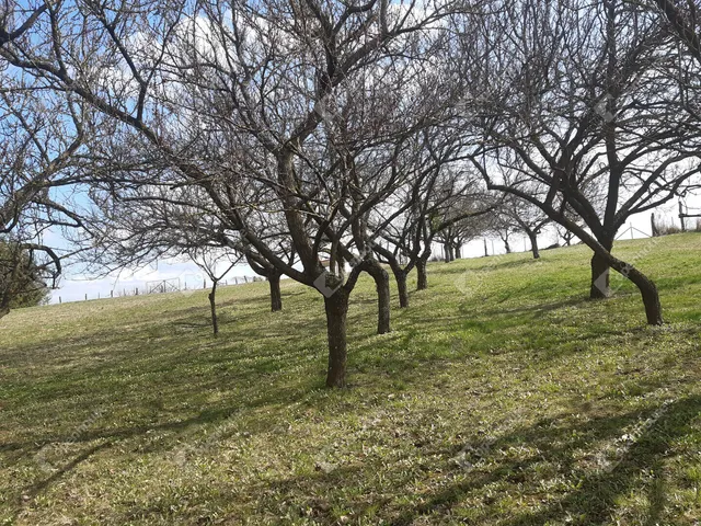 Eladó telek Sand 23000 nm