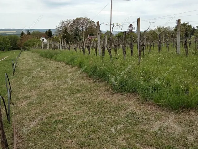 Eladó nyaraló Nagykanizsa 48 nm