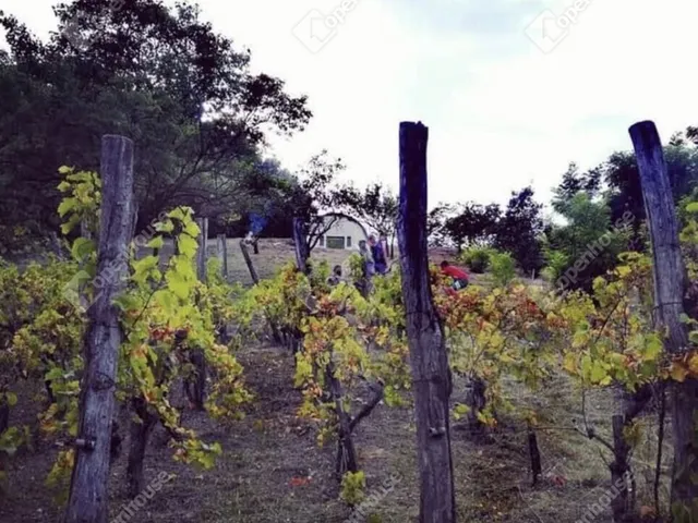 Eladó telek Nagykapornak 1475 nm