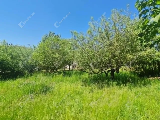 Eladó telek Csapi 813 nm
