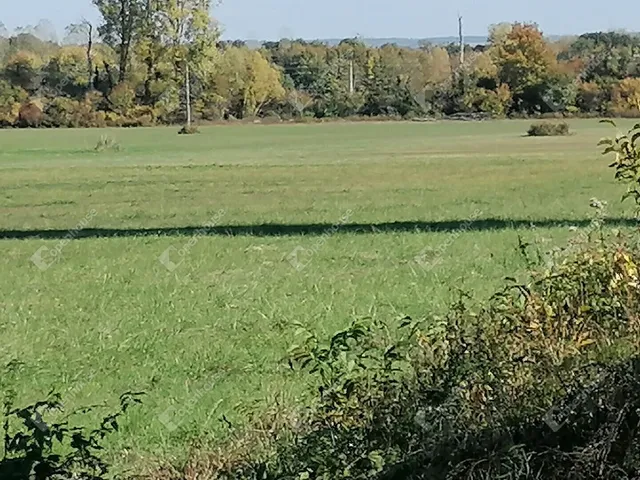 Eladó mezőgazdasági ingatlan Zalakaros 4137 nm