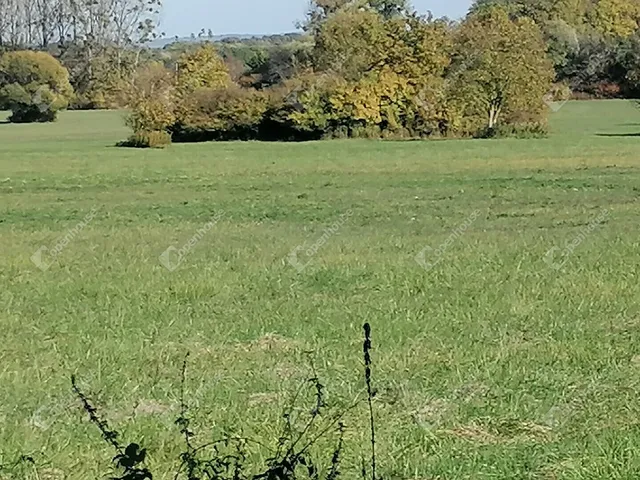 Eladó mezőgazdasági ingatlan Zalakaros 4137 nm