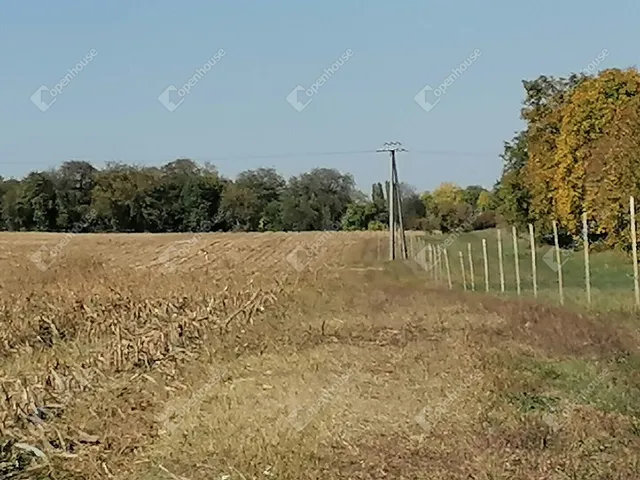 Eladó mezőgazdasági ingatlan Nagyrada 5880 nm