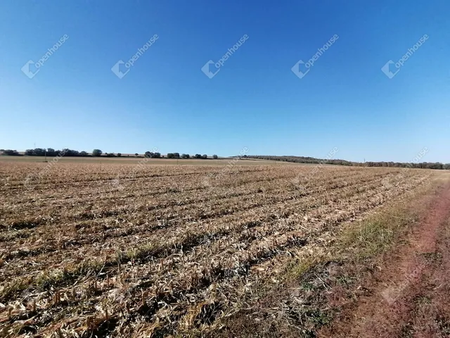Eladó mezőgazdasági ingatlan Nagyrada 5880 nm