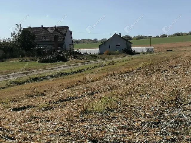 Eladó mezőgazdasági ingatlan Nagyrada 5880 nm