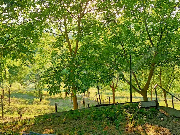 Eladó ház Somlószőlős 340 nm