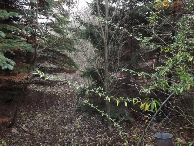 Eladó kereskedelmi és ipari ingatlan Ajka 337 nm