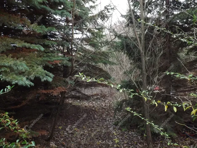 Eladó kereskedelmi és ipari ingatlan Ajka 337 nm