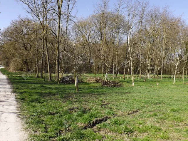 Eladó telek Pápa 1000 nm