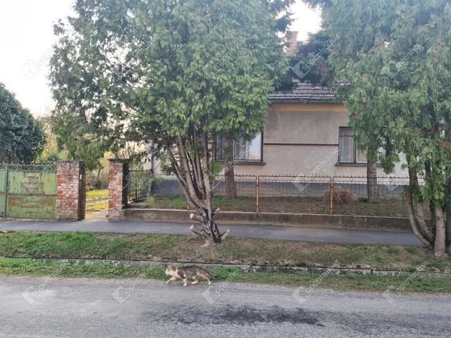 Eladó ház Mesteri 140 nm