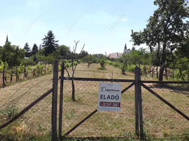 Eladó telek Homokbödöge 1487 nm