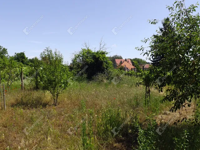 Eladó telek Homokbödöge 1487 nm