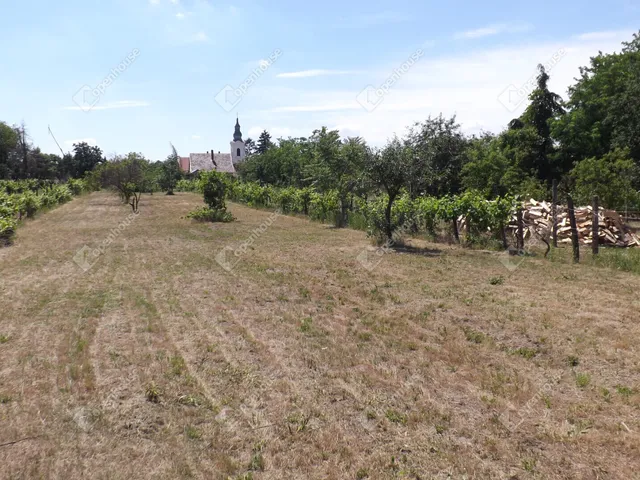 Eladó telek Homokbödöge 1487 nm