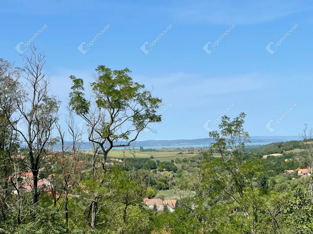 Eladó mezőgazdasági ingatlan Balatonendréd 9193 nm