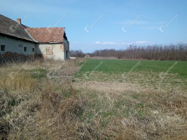 Eladó mezőgazdasági ingatlan Siófok 200 nm